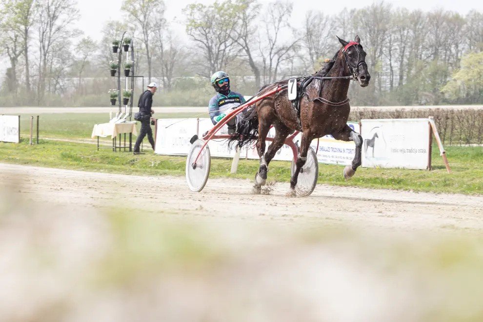 In Ljutomer, generations of dedication to fast horses