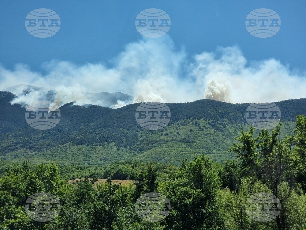 Efforts to Put Out Wildfire at Bulgarian-Greek Border Continue