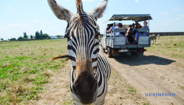 Russian invaders leave unique biosphere reserve in Ukraine “almost destroyed” - official