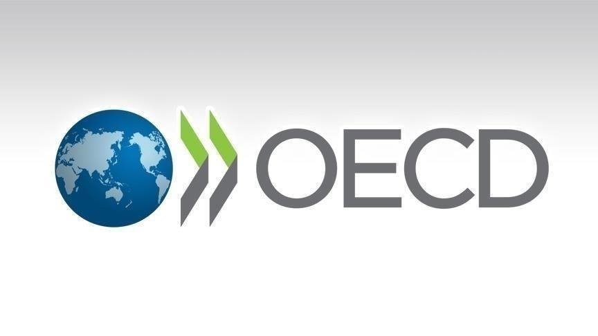 OECD Inflation Update: Core Inflation Drops, But Energy Prices Soar