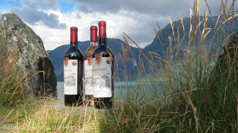 Romanian Winemaker Strikes Gold and Silver at Europe's Most Prestigious Wine Competition