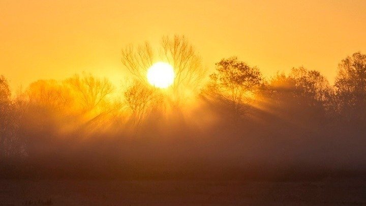 Greece Faces the Hottest Summer Ever Recorded