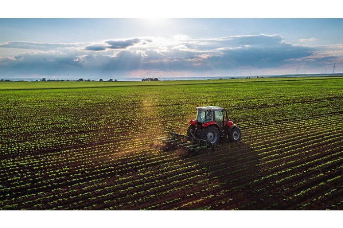 Moldovan Cabinet Approves Major Fund for Drought-Affected Farmers