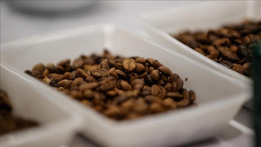 Türkiye generated $154.7M from coffee exports in 5 years