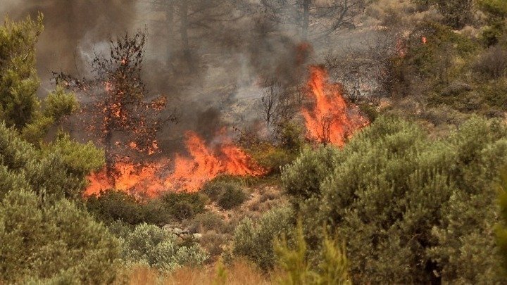 Geraki fire situation improved, forces remain at site, Fire Dept says