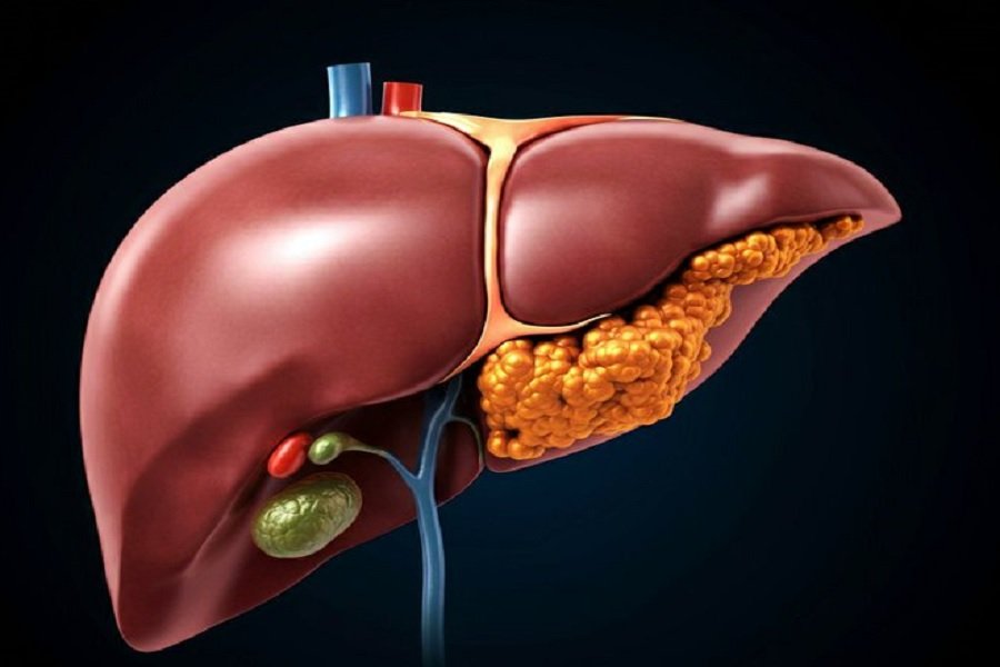 Four signs that something is wrong with your liver