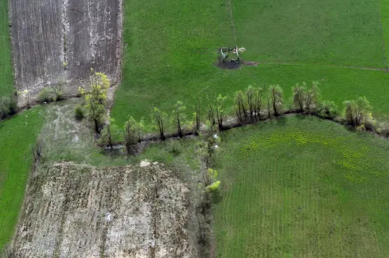 Farming and environment in focus of upper chamber event