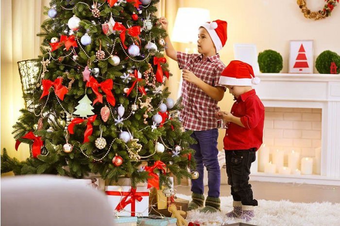 Experts Share Tips for Choosing Christmas Trees and Holiday Decorations