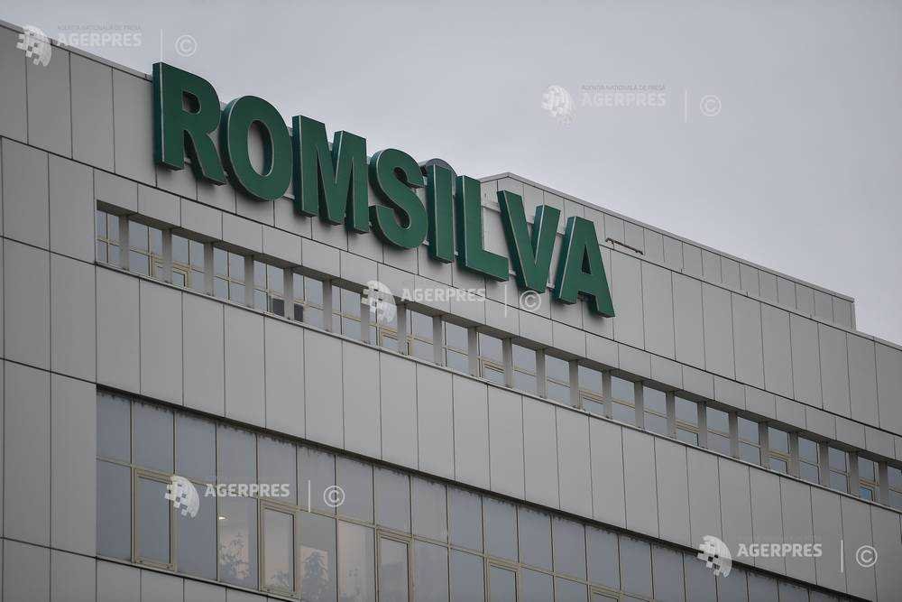 Romsilva Generates €6.6 Million in Revenue from Non-Wood Products and Hunting by November 2024