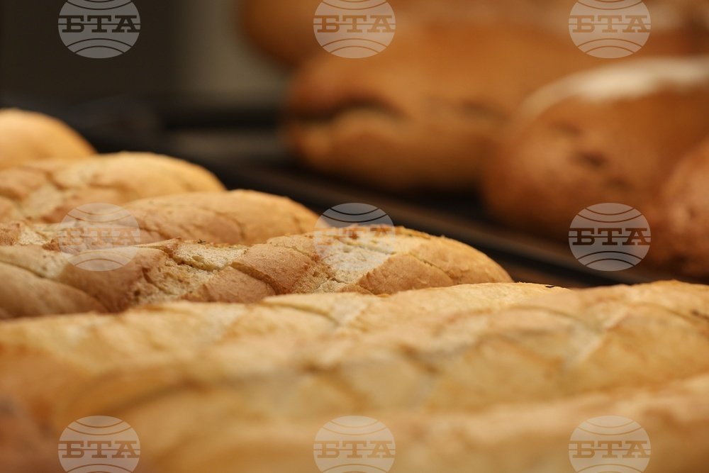 Parliamentary Committee Rejects VAT Amendments on Bread, Flour, and Medication