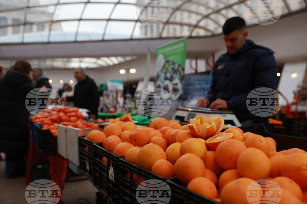 Wholesale Fruit Prices Rise in Bulgaria, Tangerines and Apples Lead the Increase