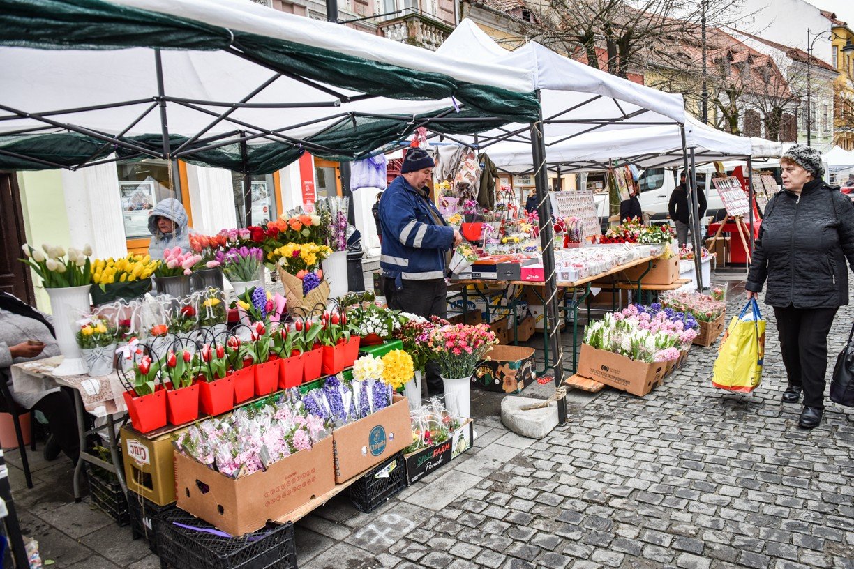 SFS to Monitor Flower Trade and HoReCa Sectors Ahead of Women's Day