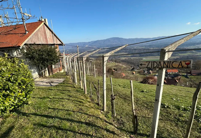 Vineyard cottages of Slovenia combine tradition, wine, comfort