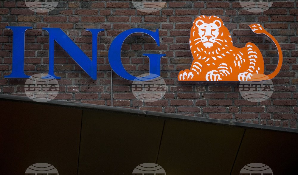 Bulgaria's Political Stability Key to 2026 Euro Adoption, Says ING Analysis